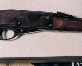 Remington nylon 76 lever action 22