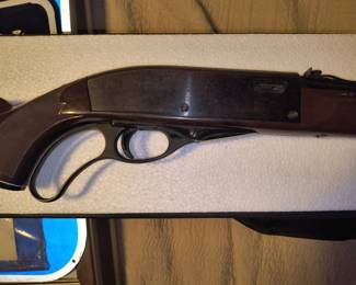 Remington nylon 76 lever action 22