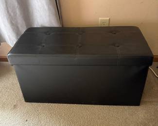 Storage Trunk