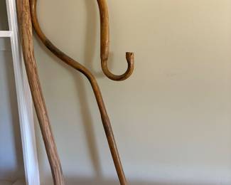 Tall walking sticks