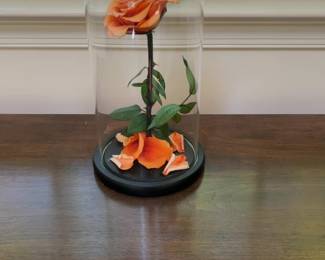 Preserved Orange Rose in Glass Cloche Dome