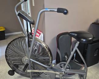 Schwinn Airdyne stationary bike