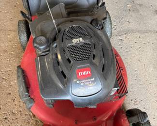Toro Perfect Pace