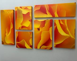 6 piece canvas wall art set
