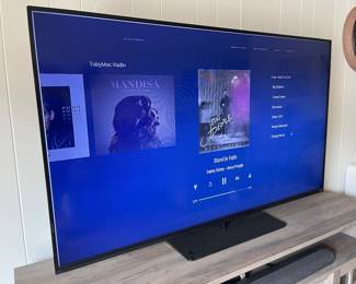 Vizio television 
