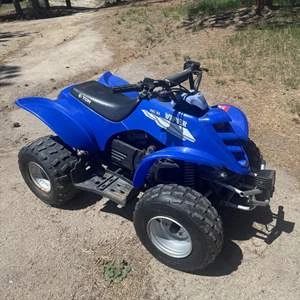 Viper RXL-90 Youth ATV Quad – Sport Off-Road 4-Wheeler with Automatic Transmission & Electric Start