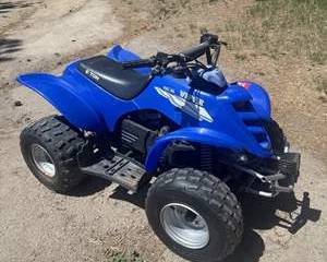Viper RXL-90 Youth ATV Quad – Sport Off-Road 4-Wheeler with Automatic Transmission & Electric Start