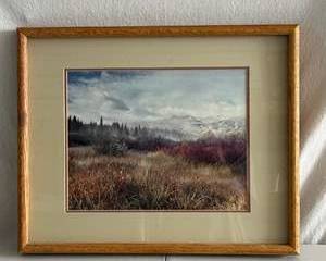 Framed Mountain Meadow Landscape Print