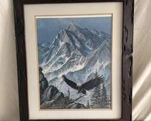 Framed Bald Eagle & Mountain Wildlife Print by Tom J. Dooley
