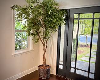 One of two artificial ficus trees