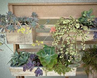 West Elm plant wall with succulents