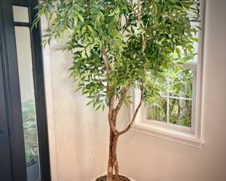 Second of two artificial ficus trees