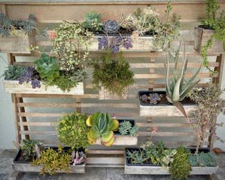 West Elm plant wall with succulents