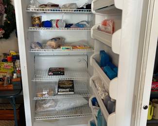 Inside Garage Freezer