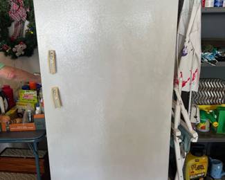 Garage Freezer