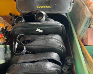 Bushnell
