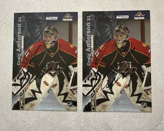 Craig Anderson Florida Panthers Hockey Card