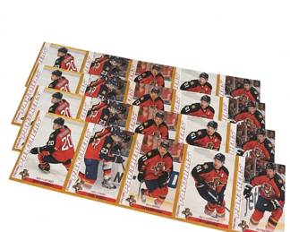 Florida Panthers Hockey Cards