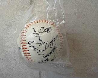 Multi-Signed Baseball with Notable Players