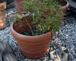 Terracotta Rose Planter with Decorative Embossing