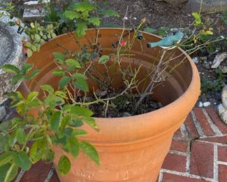 Terracotta Rose Planter with Bird Ornament