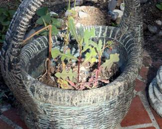 Campania International Provencal Basket Planter