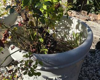 Decorative Garden Planter Pot