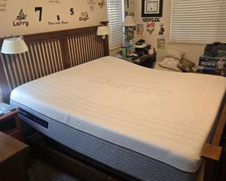 Purple MotoSleep Reclining Bed