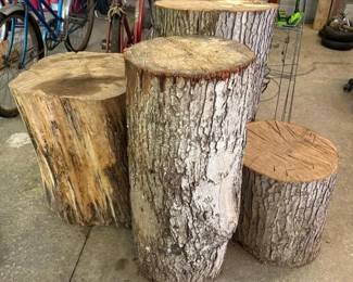 127 setof4largeoaktreestumps