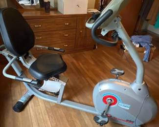 213 schwinn250recumbentbikewithmagnetic