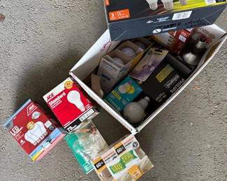 070 assortedboxofledincandescentlightb