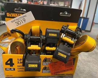 1.0 in. x 12 ft. Ratchet Tie-Down Straps