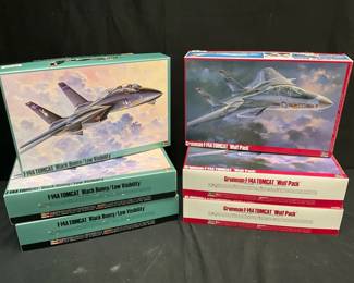 Hasegawa F14 Tomcat Model Kits