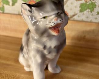 Coventry “Scaredy Cat”