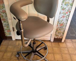 Swivel Dental Chair
