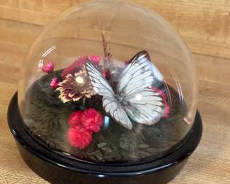 Butterfly Dome
