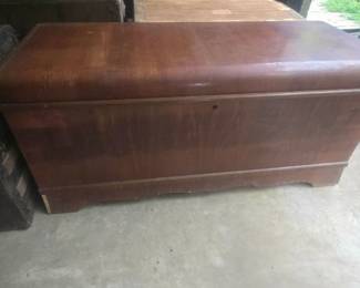 Cedar trunk