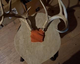 Antler Mount