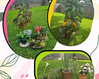 Silk Plants - large assortment