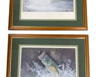 8219 - 2 Framed Fish Prints - SIgned - 24 x 22