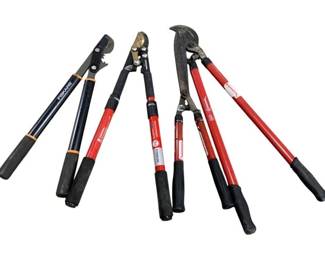 6545 - Assorted Loppers & Trimmers