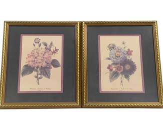 6616 - 2 Framed Prints - 13.5 x 15.5