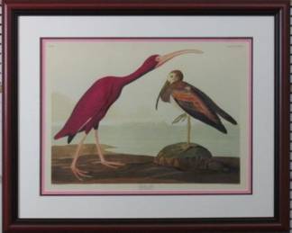 9056 - Scarlet Ibis by John J Audubon (Description): 30 X 24.5