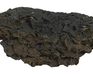 5724 - Fossilized Rock - 8 x 6