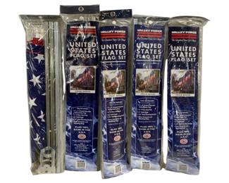 6534 - 5 U.S.A. Flag Sets in package