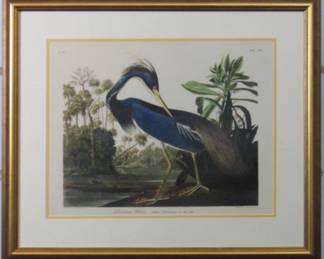 9059 - Louisiana Heron by John J Audubon (Description): 28.5 X 24