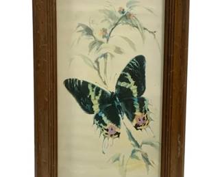 6625 - Framed Print - 18.5 x 11