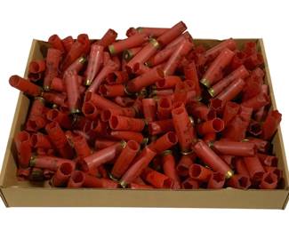 5034 - Lot of 12 gauge Empty Shells