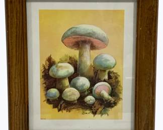 150 - Framed Print - 10.5 x 12.5