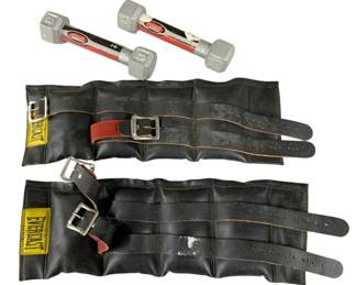 189 - Everlast Ankle Weights & Two 3lb Dumbbells